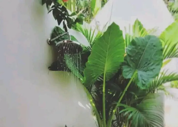 Villa Nest - Eco Boutique Uluwatu (Bali)